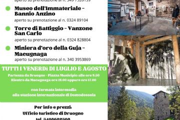 Sfoglia la galleria
